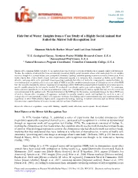 Insights from a Case Study of a Highly Social Animal That Failed the Mirror Self-Recognition Test