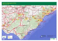 MAP Otway Autumn 2020