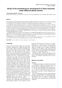 Study of the Postembryonic Development of Idaea Inquinata Under Different Abiotic Factors