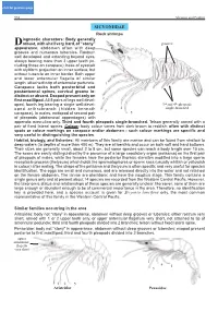 W7192e19.Pdf