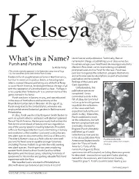 What's in a Name?