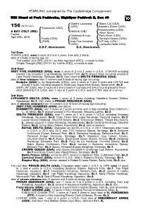 YEARLING, Consigned by the Castlebridge Consignment