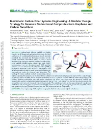 Biomimetic Carbon Fiber Systems Engineering: a Modular