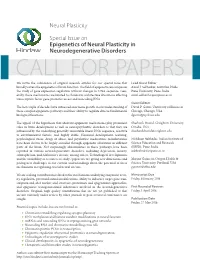 Epigenetics of Neural Plasticity in Neurodegenerative Disorders
