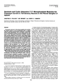 Serotonin and Cyclic Adenosine 3':Vmonophosphate Modulate The