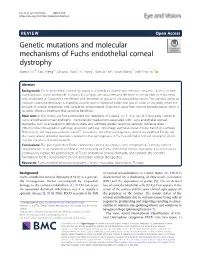 Genetic Mutations and Molecular Mechanisms of Fuchs Endothelial