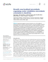 Growth Cone-Localized Microtubule Organizing Center Establishes