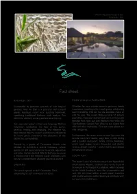 Resort Fact Sheet