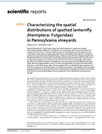 Characterizing the Spatial Distributions of Spotted Lanternfly