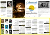 Bpb Guide Vaw.Indd