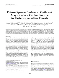 Future Spruce Budworm Outbreak May Create a Carbon Source in Eastern Canadian Forests
