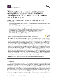 Predicting FOXM1-Mediated Gene Regulation Through the Analysis of Genome-Wide FOXM1 Binding Sites in MCF-7, K562, SK-N-SH, GM12878 and ECC-1 Cell Lines