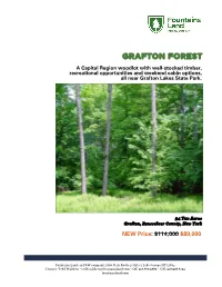 Grafton Forest