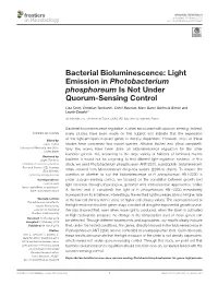 Bacterial Bioluminescence: Light Emission in Photobacterium Phosphoreum Is Not Under Quorum-Sensing Control