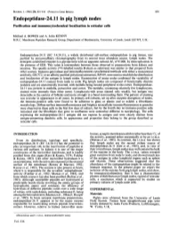 Endopeptidase-24.11 in Pig Lymph Nodes Purification and Immunocytochemical Localization in Reticular Cells