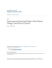 Functional and Structural Studies of the Human Voltage-Gated Proton Channel James Anthony Letts