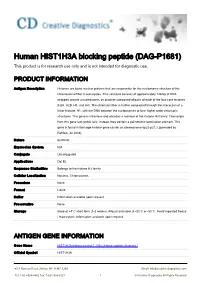 Human HIST1H3A Blocking Peptide (DAG-P1681) This Product Is for Research Use Only and Is Not Intended for Diagnostic Use