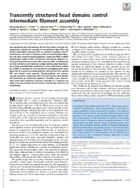 Transiently Structured Head Domains Control Intermediate Filament Assembly