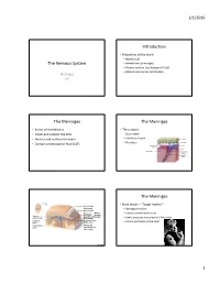 Lecture 4: the Meninges And