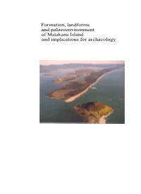 Part 1: Formation, Landforms and Paleoenvironment of Matakana