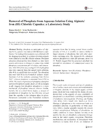 Removal of Phosphate from Aqueous Solution Using Alginate/Iron (III)