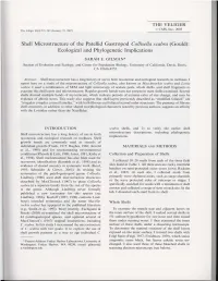 Shell Microstructure of the Patellid Gastropod Collisella Scabra (Gould): Ecological and Phylogenetic Implications