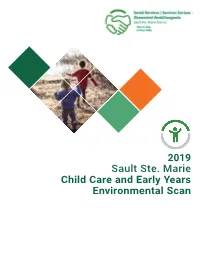 2019 Environmental Scan