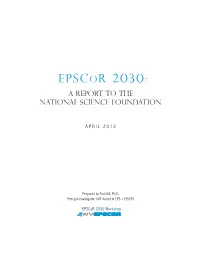Epscor 2030: a Report to the National Science Foundation