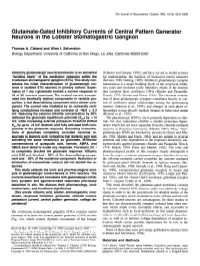 Glutamate-Gated Inhibitory Currents of Central Pattern Generator Neurons in the Lobster Stomatogastric Ganglion