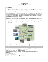 Project Summary Regenerative Modelregion Harz