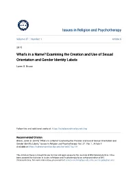 What's in a Name? Examining the Creation and Use of Sexual Orientation and Gender Identity Labels