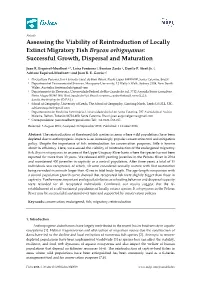Assessing the Viability of Reintroduction of Locally Extinct Migratory Fish Brycon Orbignyanus: Successful Growth, Dispersal and Maturation