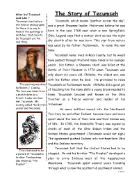 The Story of Tecumseh Look Like ? Tecumseh Lived Before Tecumseh, Which Means “Panther Across the Sky”, the Time of Photographs