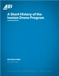 A Short History of the Iranian Drone Program