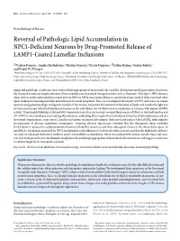 Reversal of Pathologic Lipid Accumulation in NPC1-Deficient Neurons by Drug-Promoted Release of LAMP1-Coated Lamellar Inclusions