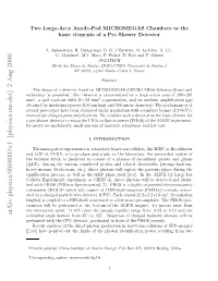 Two Large-Area Anode-Pad MICROMEGAS Chambers As The
