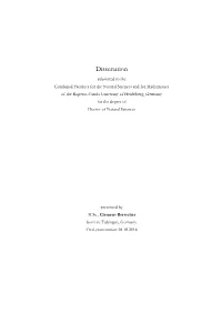Dissertation