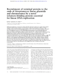 Recruitment of Terminal Protein to the Ends of Streptomyces Linear Plasmids and Chromosomes by a Novel Telomere-Binding Protein Essential for Linear DNA Replication