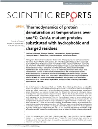 Thermodynamics of Protein Denaturation at Temperatures Over 100‹ °C: Cuta1 Mutant Proteins Substituted with Hydrophobic
