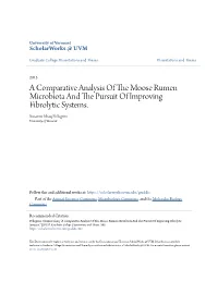 A Comparative Analysis of the Moose Rumen Microbiota and the Pursuit of Improving Fibrolytic Systems