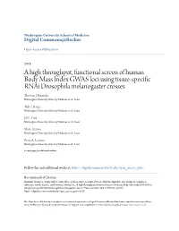 A High Throughput, Functional Screen of Human Body Mass Index GWAS Loci Using Tissue-Specific Rnai Drosophila Melanogaster Crosses Thomas J