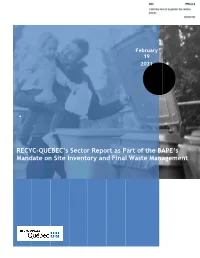 RECYC-QUÉBEC's Sector Report As Part of the BAPE's Mandate on Site
