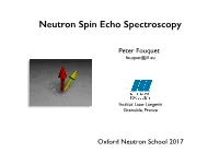Neutron Spin Echo Spectroscopy