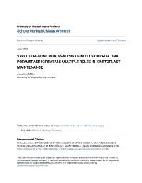 Structure Function Analysis of Mitochondrial Dna Polymerase Ic Reveals Multiple Roles in Kinetoplast Maintenance