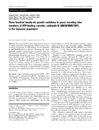Three Hundred Twenty-Six Genetic Variations in Genes Encoding Nine Members of ATP-Binding Cassette, Subfamily B (ABCB/MDR/TAP), in the Japanese Population