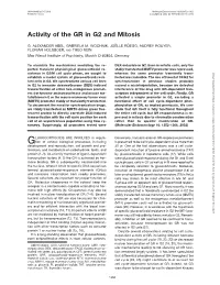 Activity of the GR in G2 and Mitosis