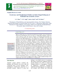 View Full Text-PDF