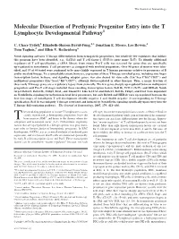 Pathway Entry Into the T Lymphocyte Developmental Molecular Dissection of Prethymic Progenitor