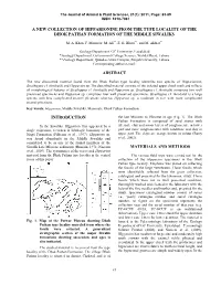 A New Collection of Hipparionine from the Type Locality of the Dhok Pathan Formation of the Middle Siwaliks