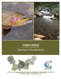Confluence Consulting, Inc